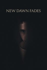 New Dawn Fades