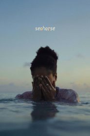 Seahorse