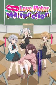 Marika’s Love Meter Malfunction