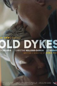 Old Dykes