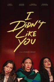 I Didn’t Like You